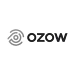 Motorvaps-Ozow-Logo-Grey